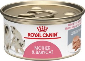 Royal Canin Mother & Babycat Ultra-Soft Mousse in Sauce Wet Cat Food for New Kittens and Nursing or Pregnant Mother Cats