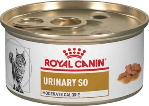 Royal Canin Veterinary Diet Urinary SO Moderate Calorie Morsels in Gravy Canned Cat Food
