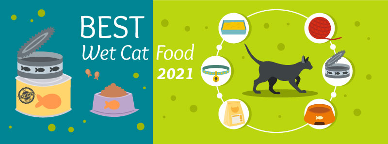daily-cat-wet-food-page-graphic