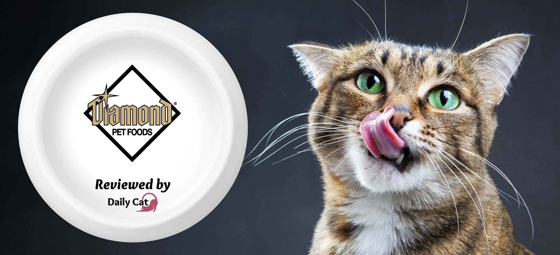 The Daily Cat-brand- Diamond Cat Food Review Graphic