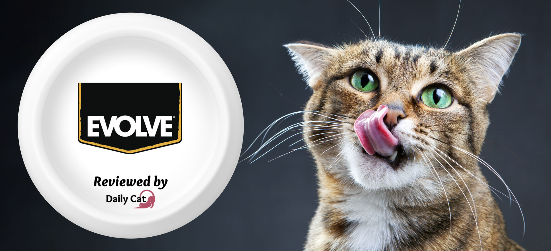 The Daily Cat-brand- Evolve Cat Food Review Graphic