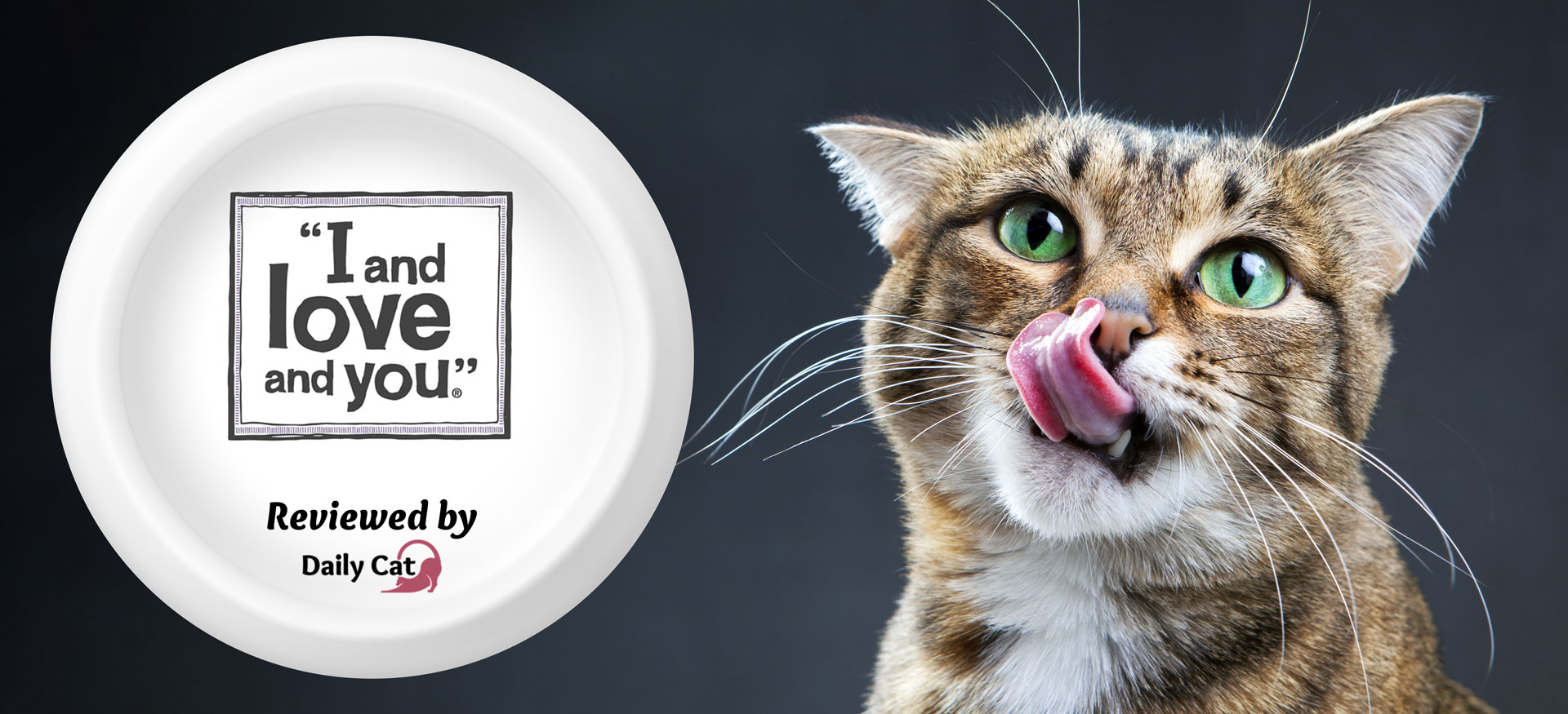 The Daily Cat-brand- I and Love and You Cat Food Review Graphic