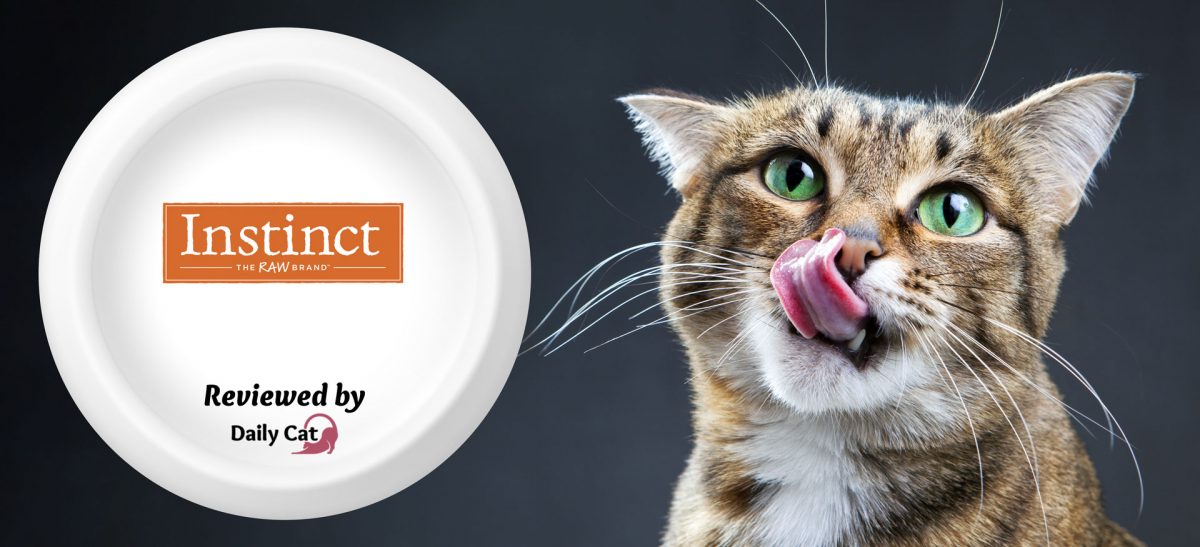 Instinct Cat Food Review The Daily Cat