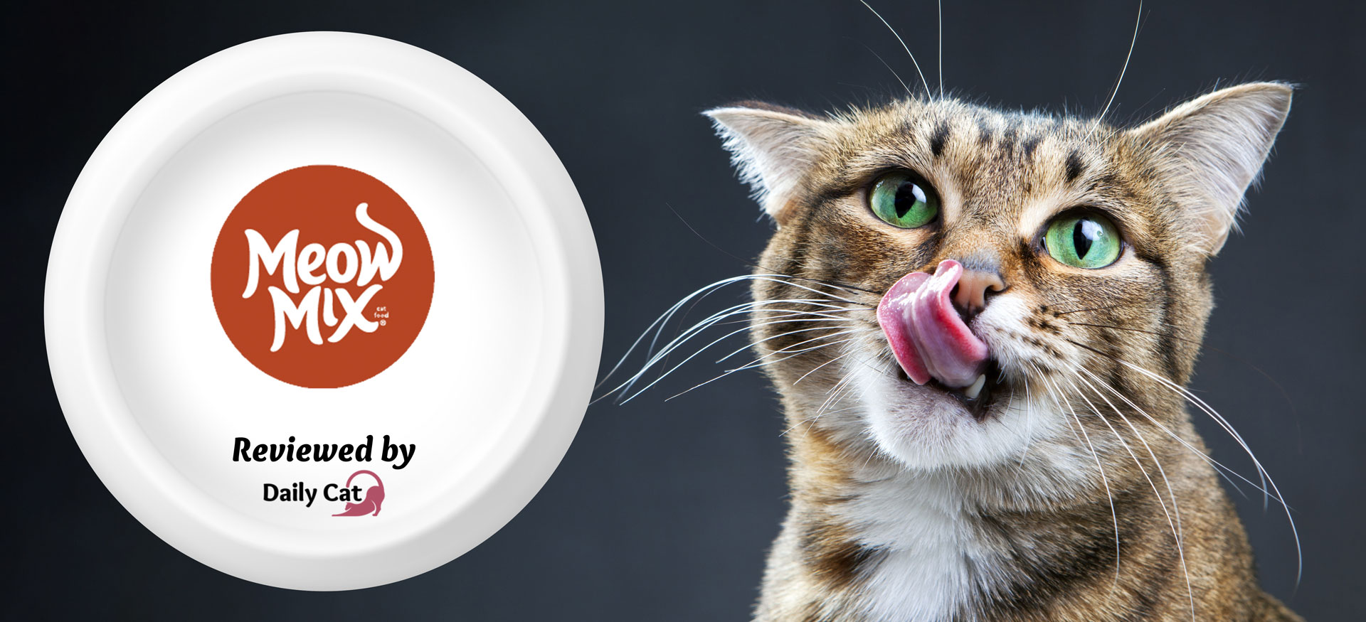 The Daily Cat-brand-Meow Mix Cat Food Review Graphic