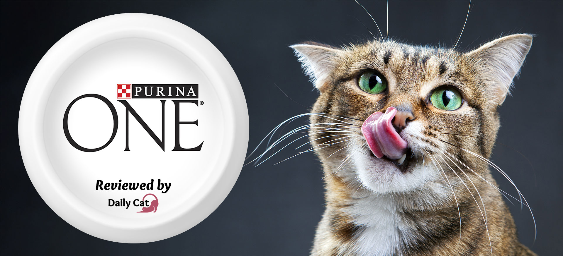 dailycat brand review purina one