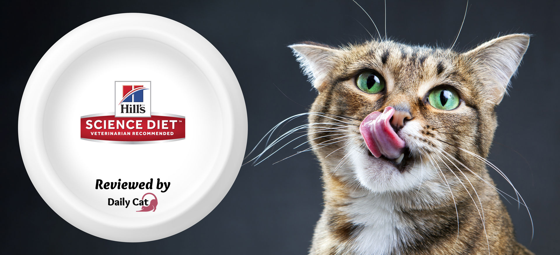 dailycat brand review science diet