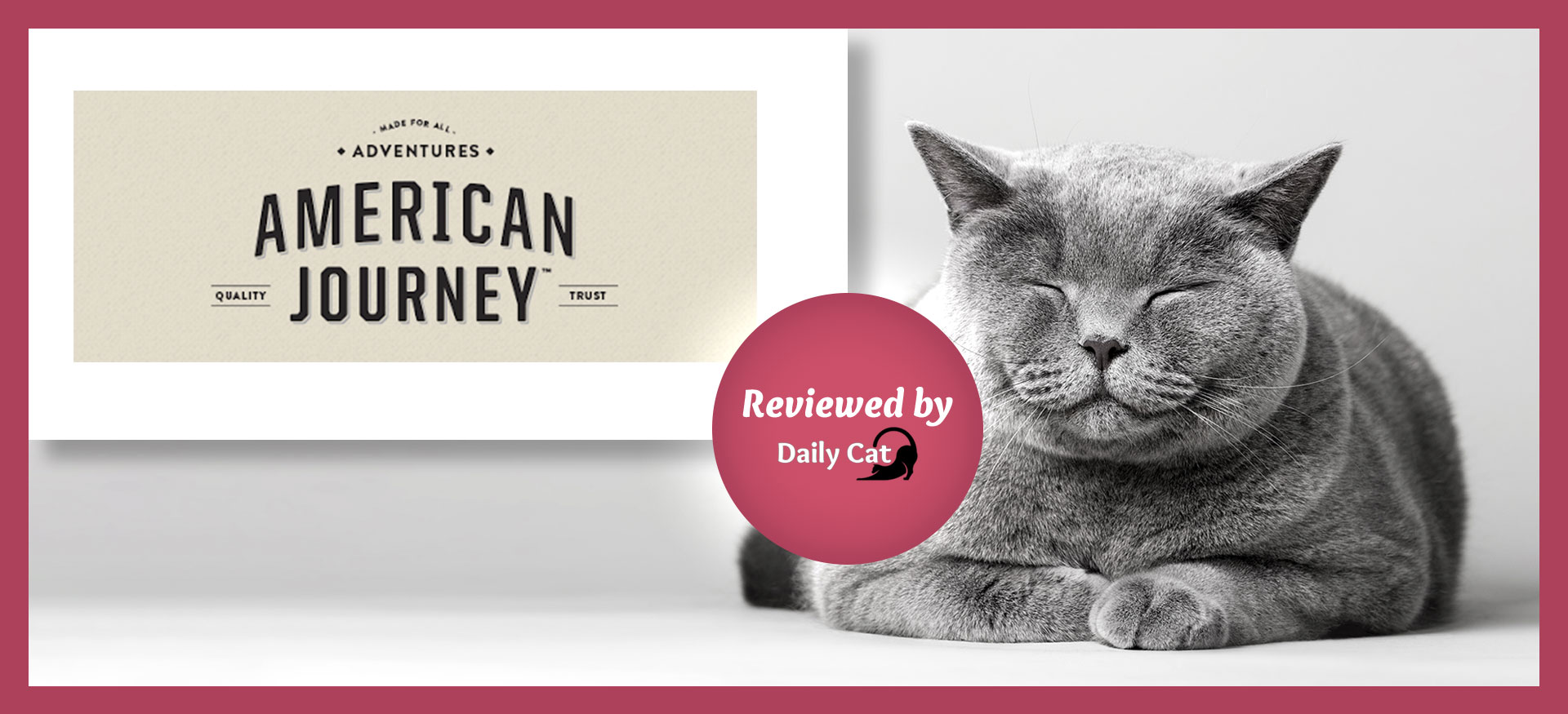 The Daily Cat-brand-American Journey Cat Food Review Graphic
