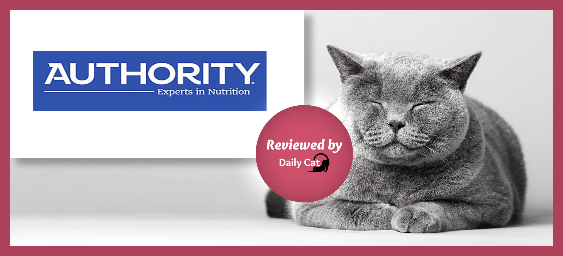 The Daily Cat-brand-Authority Review Graphic