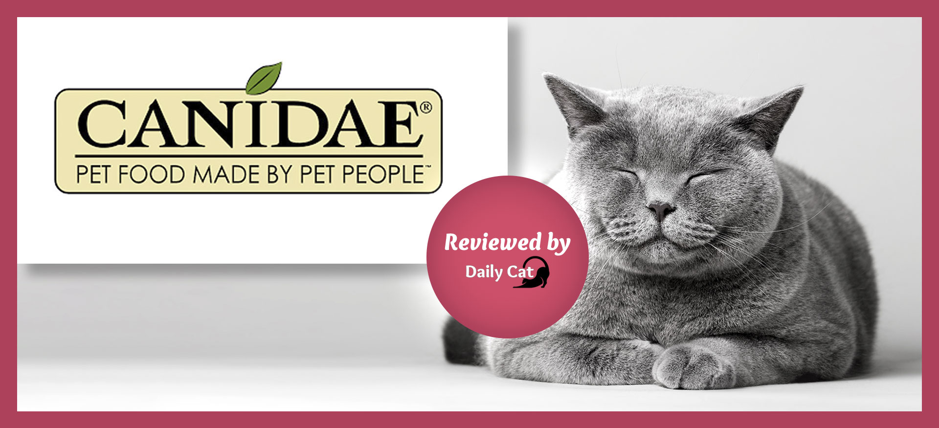 The Daily Cat-brand-Canidae Review Graphic