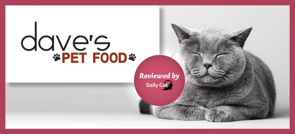 Dave's Cat Food Review The Daily Cat