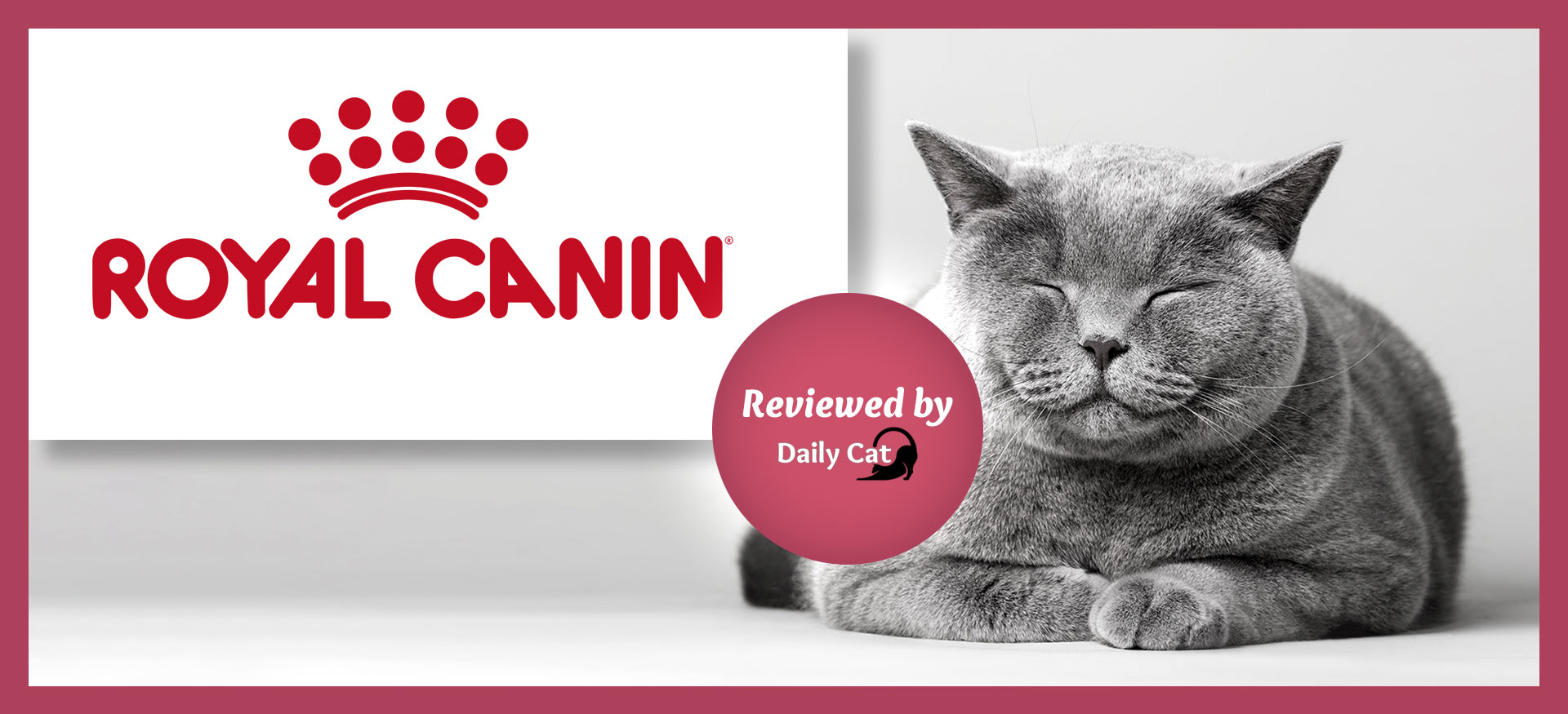 The Daily Cat-brand-Royal Canin Cat Food Review Graphic