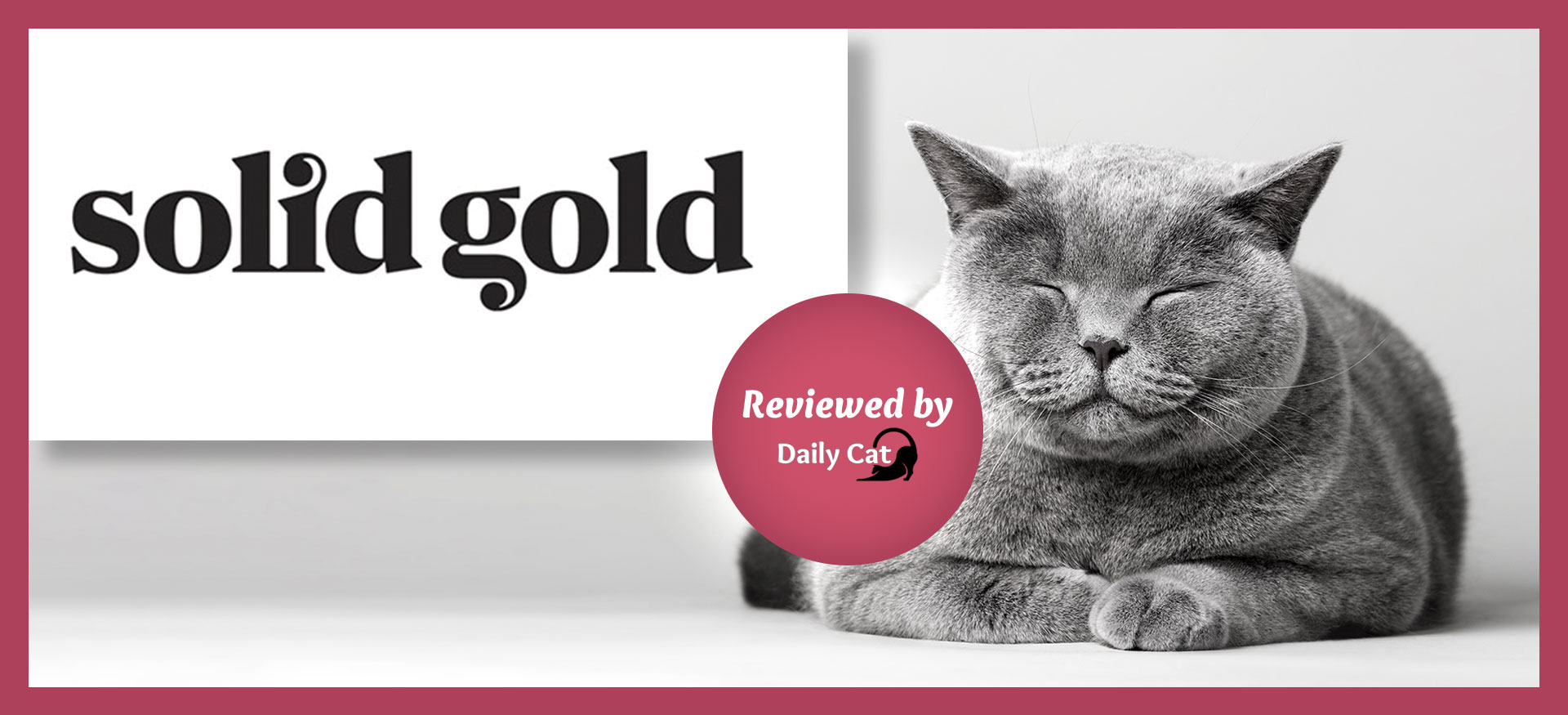 dailycat brand review solid gold