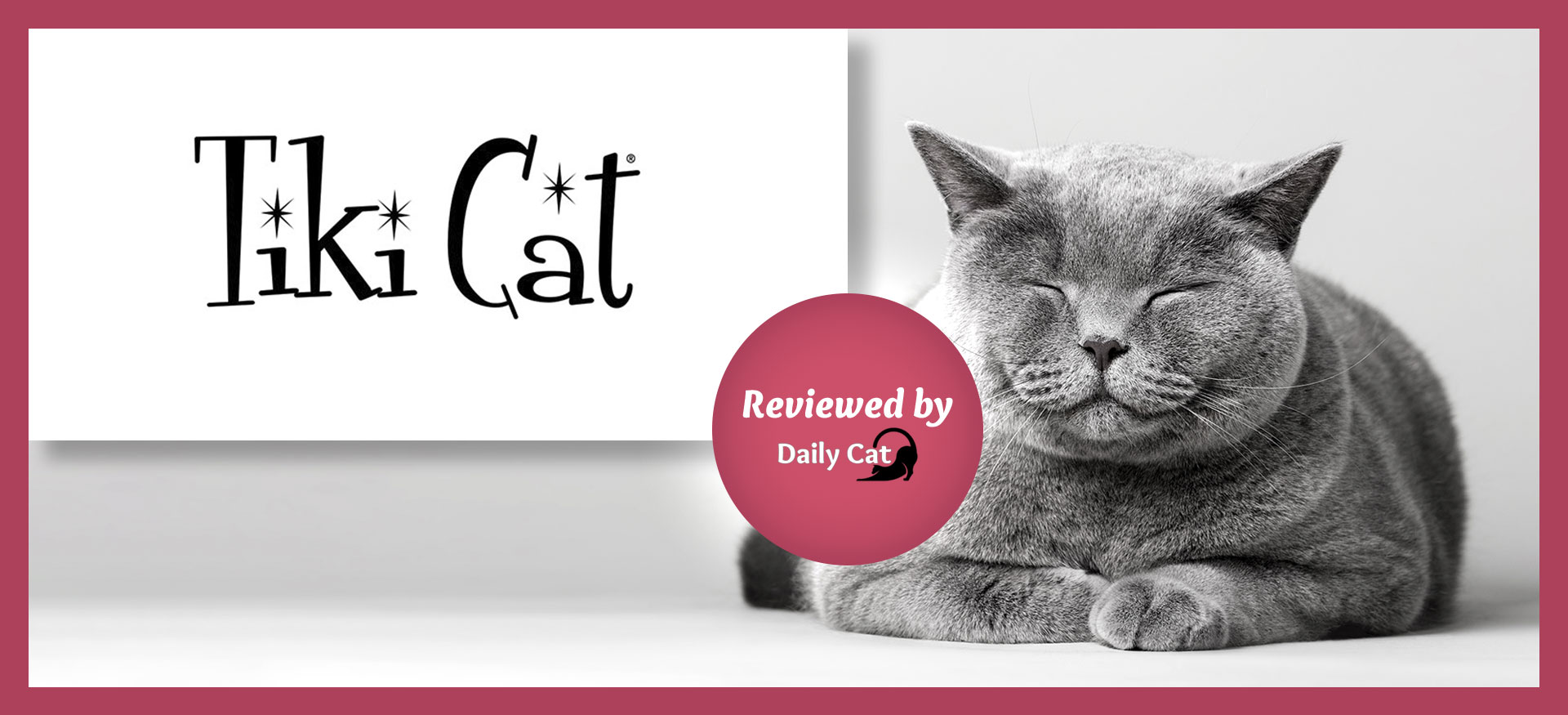 dailycat brand review tiki cat