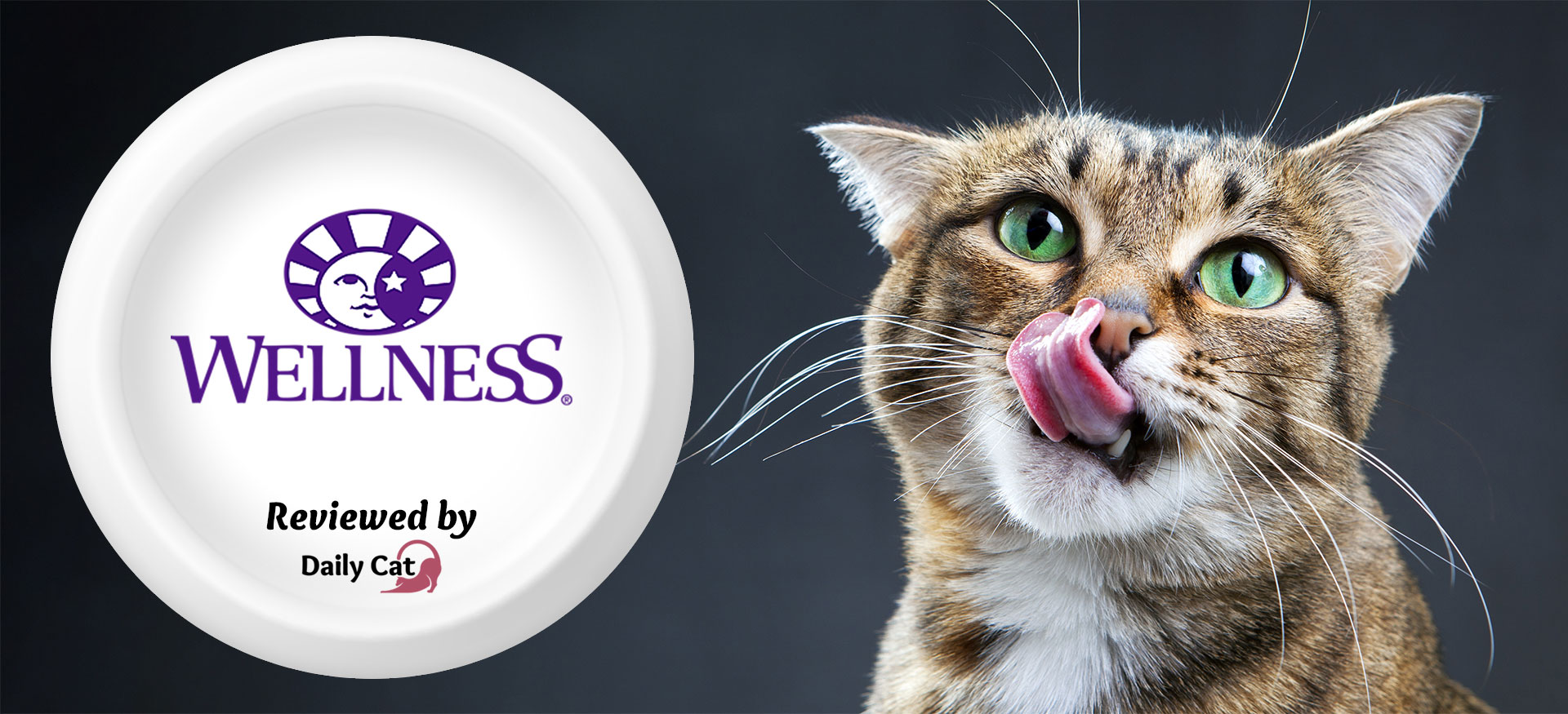 The Daily Cat-brand-Wellness Cat Food Review Graphic