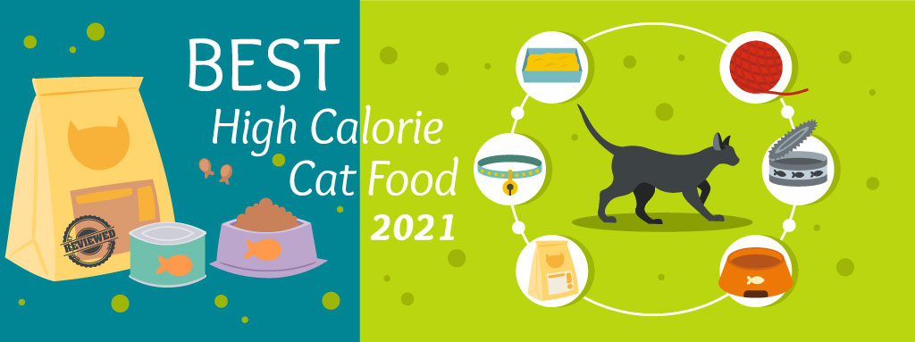 The Daily Cat - Best High Calorie Cat Food Graphic