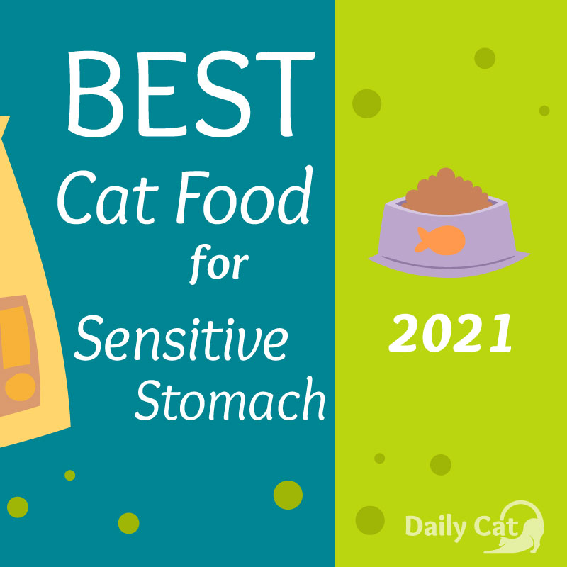 Best Cat Food for Sensitive Stomach The Daily Cat