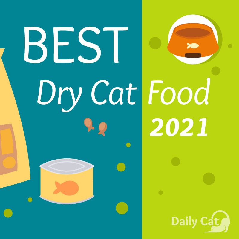 Best Dry Cat Food The Daily Cat